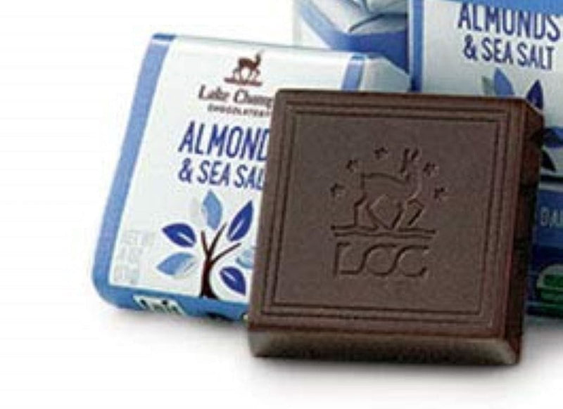 Lake Champlain Organic Square Dark Chocolate Alm Ss - .4 oz - Shelburne Country Store