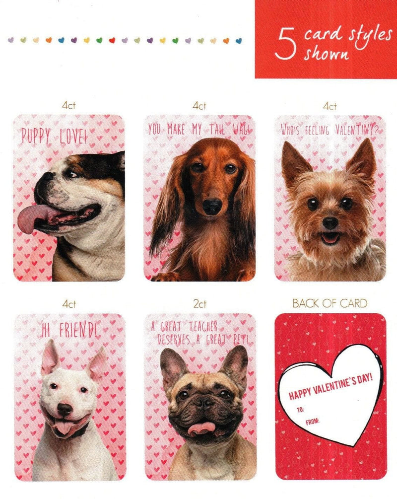 Dog Classroom Valentines - Shelburne Country Store
