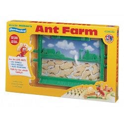 The Original Ant Farm - Shelburne Country Store