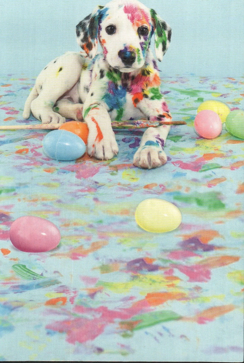 Colored Dalmatian Easter Card - Shelburne Country Store