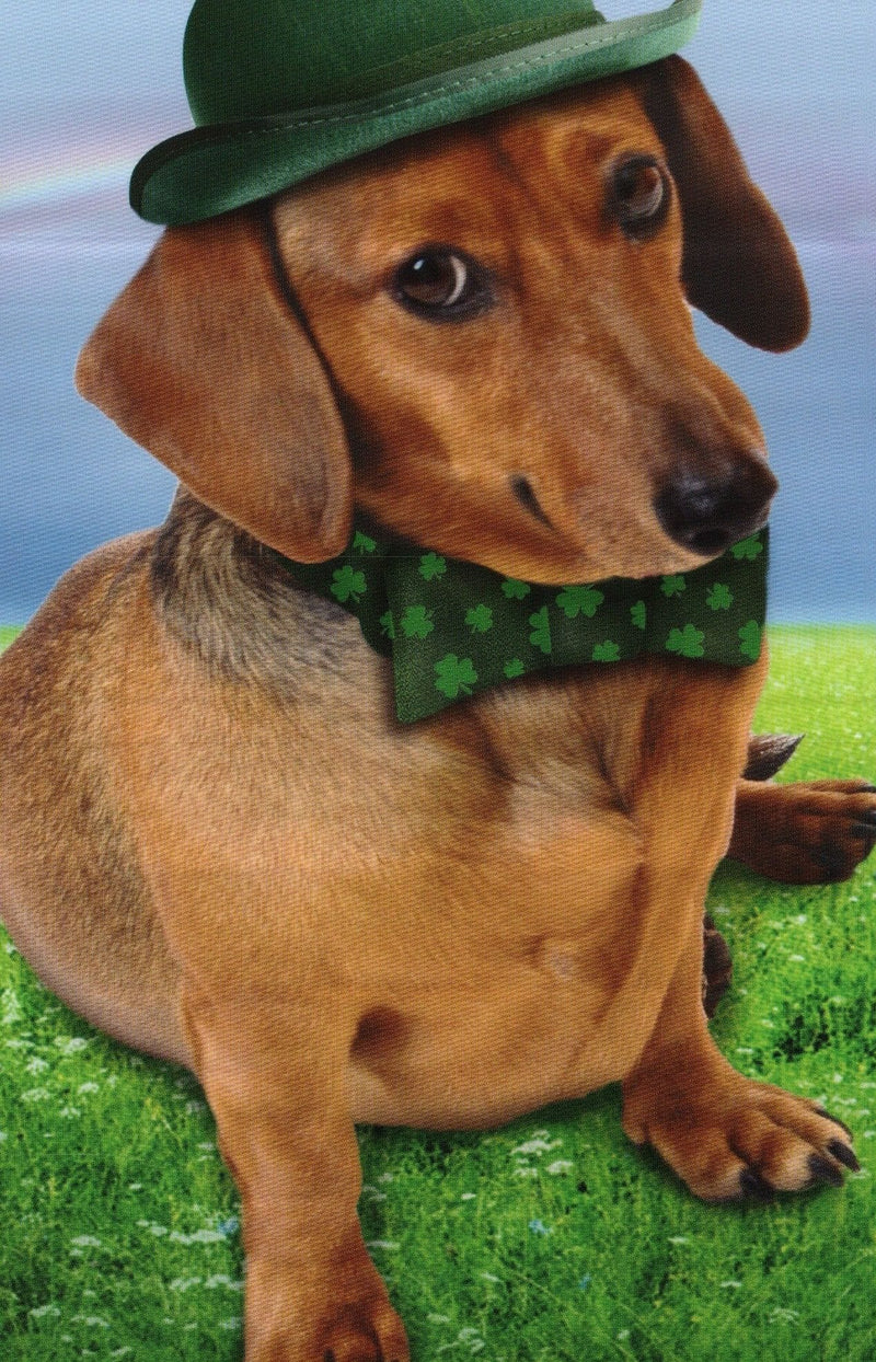 Wienerful St.Patrick's Day Greeting Card - Shelburne Country Store