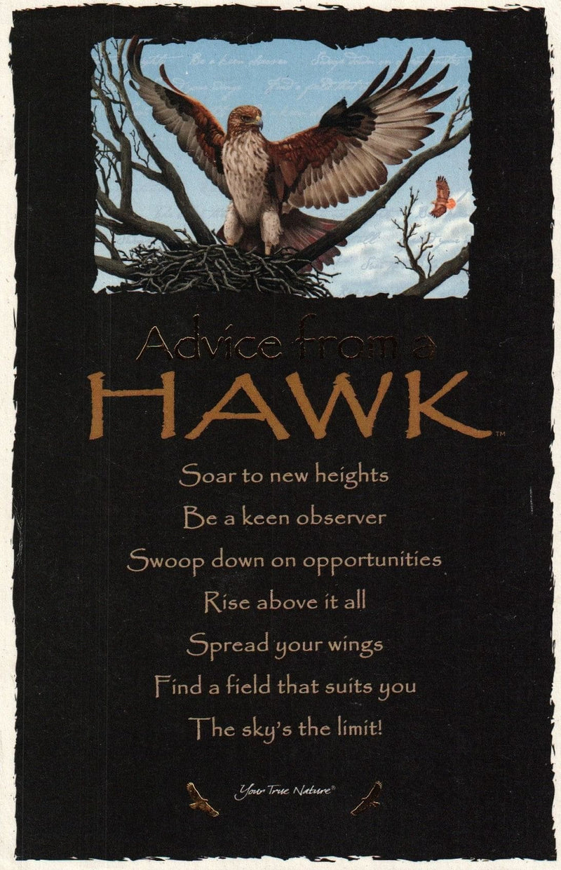 Oversize Postcard - Advice from a Hawk - Shelburne Country Store