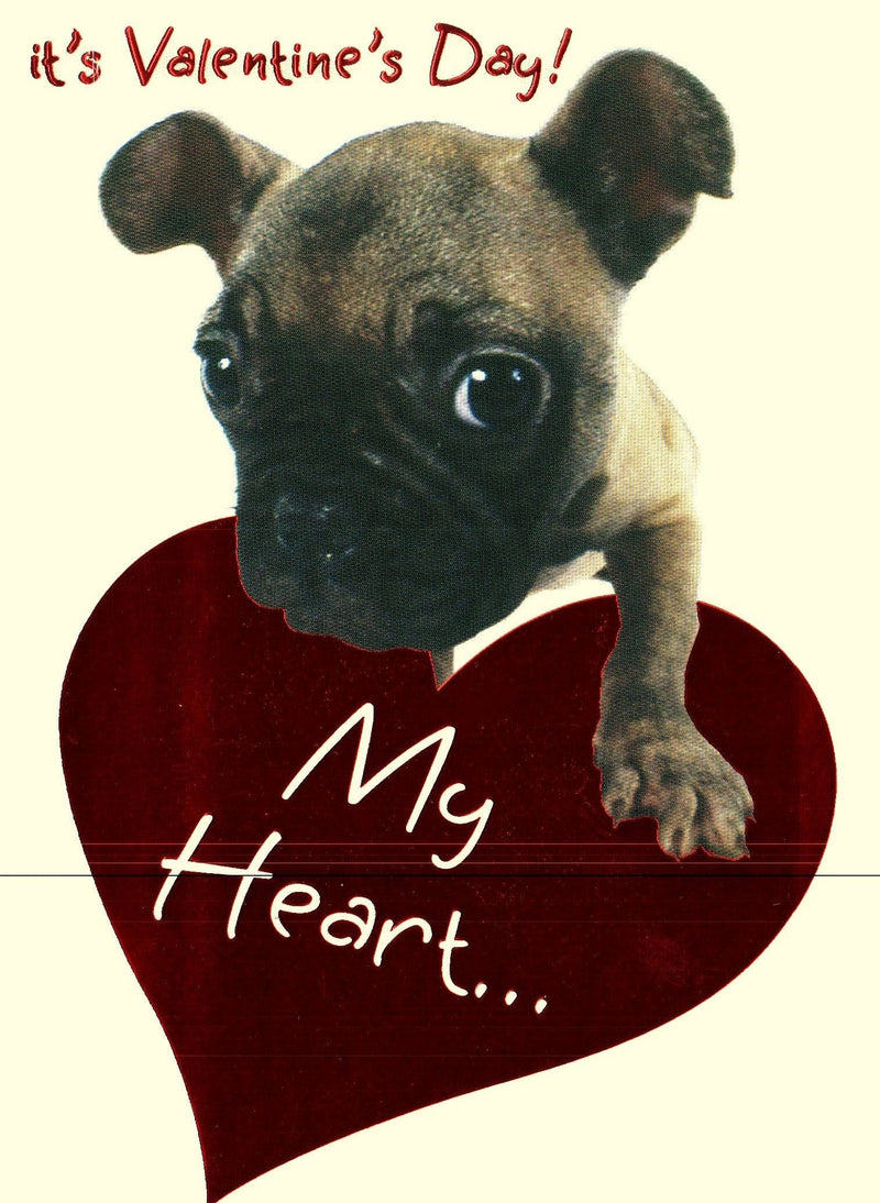 Pug Valentine's Day Card - Shelburne Country Store