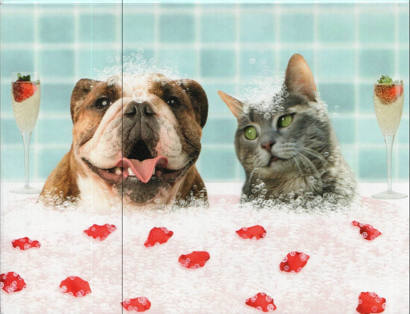 Dog and Cat bath Valentine's Day Card - Shelburne Country Store