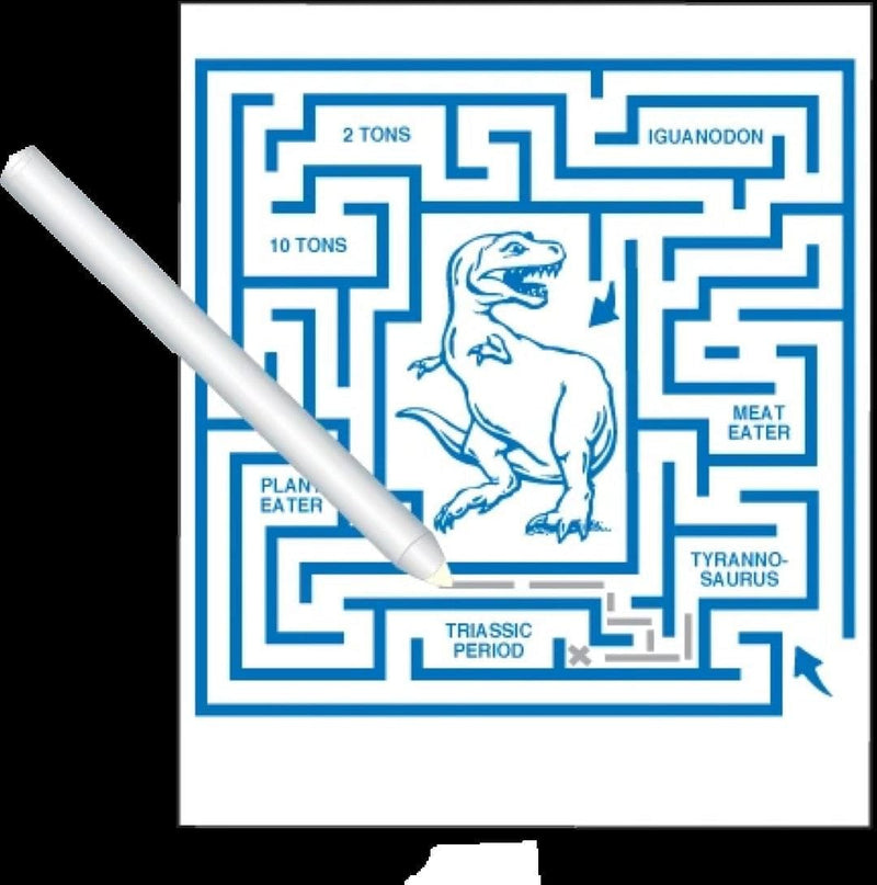 Invisible Ink: Mazes - - Shelburne Country Store