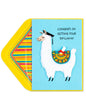 DIP-LLAMA - Graduation Card - Shelburne Country Store