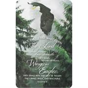 Wings As Eagles Pocket Card - Shelburne Country Store