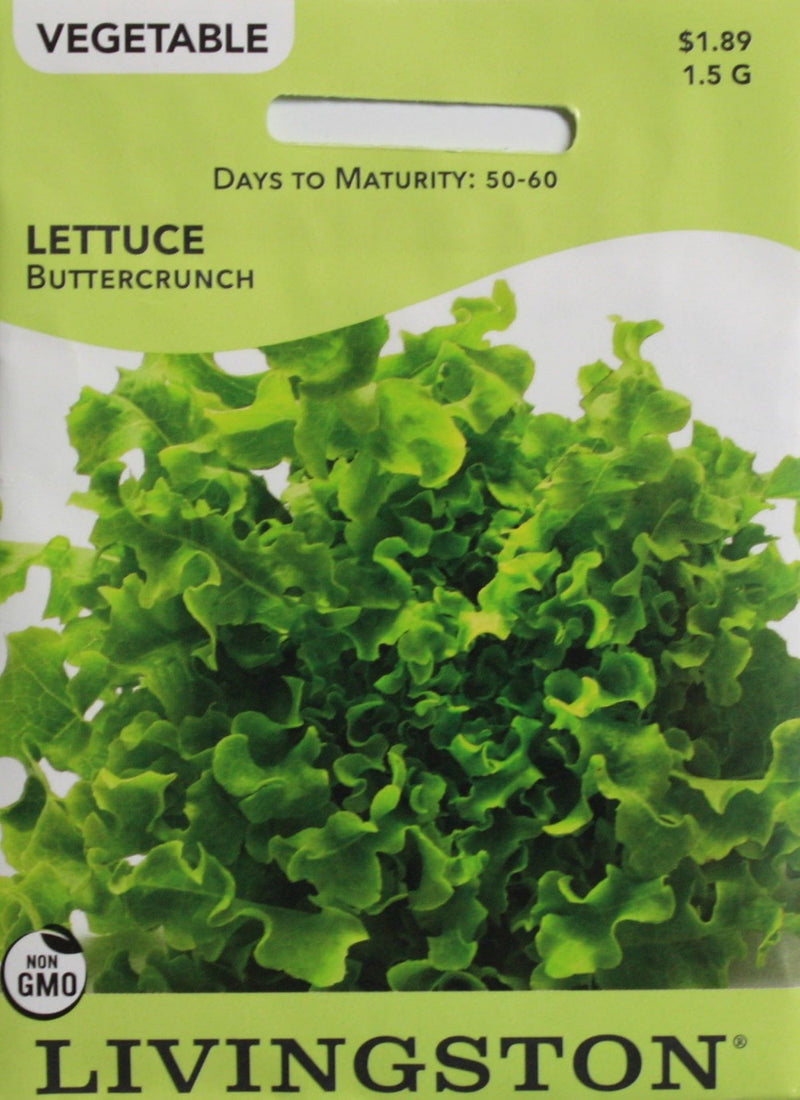 Seed Packet - Lettuce - Buttercrunch - Shelburne Country Store