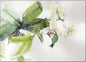 White Orchid Table Mats - Shelburne Country Store