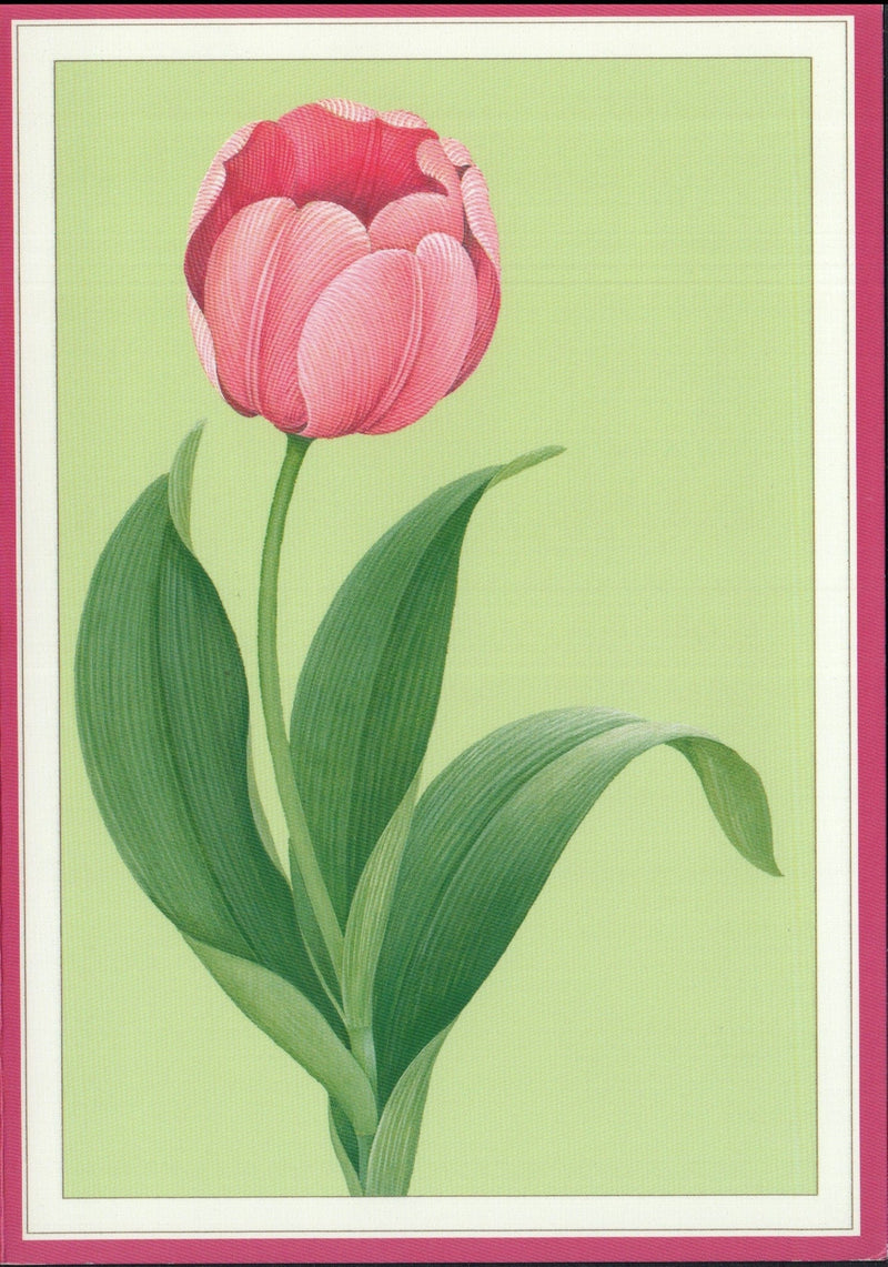 Tulip Card - Shelburne Country Store