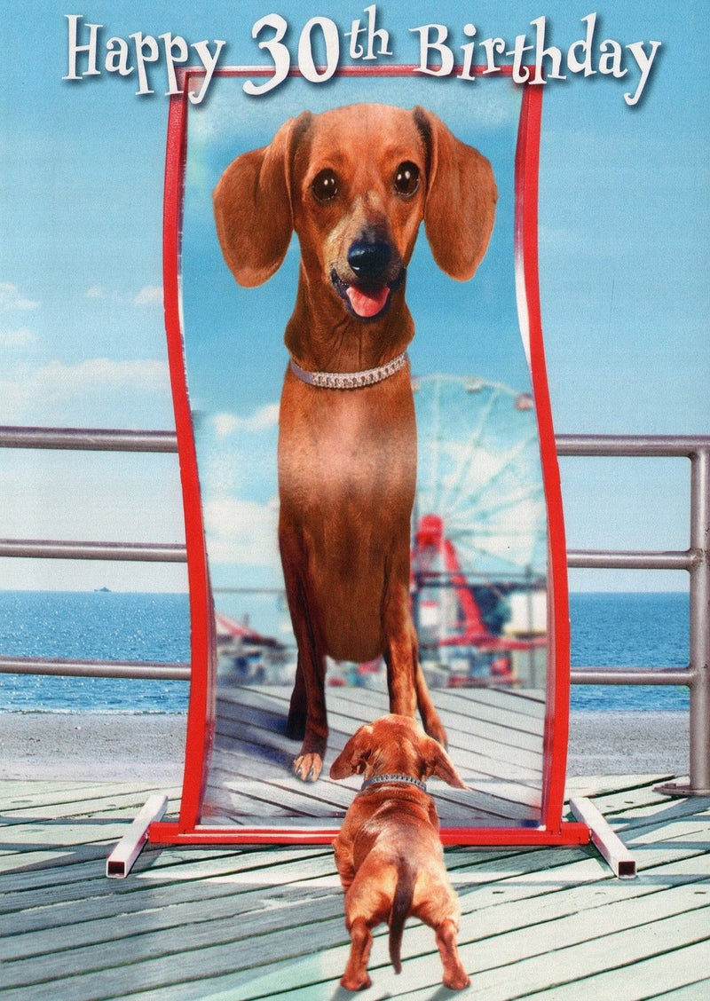 Wiener dog 30th Birthday - Shelburne Country Store