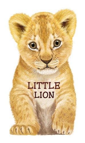 Look At Me Little Lion Board Book - Shelburne Country Store