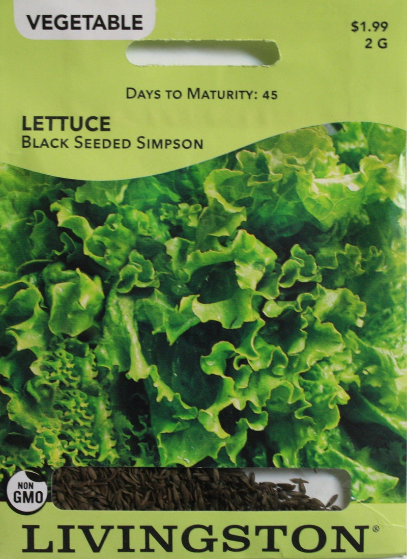 Seed Packet - Lettuce - Black Seeded Simpson - Shelburne Country Store