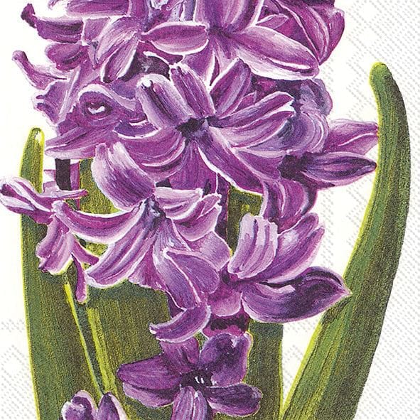 Lilac Hyacinth Lunch Napkin - Shelburne Country Store