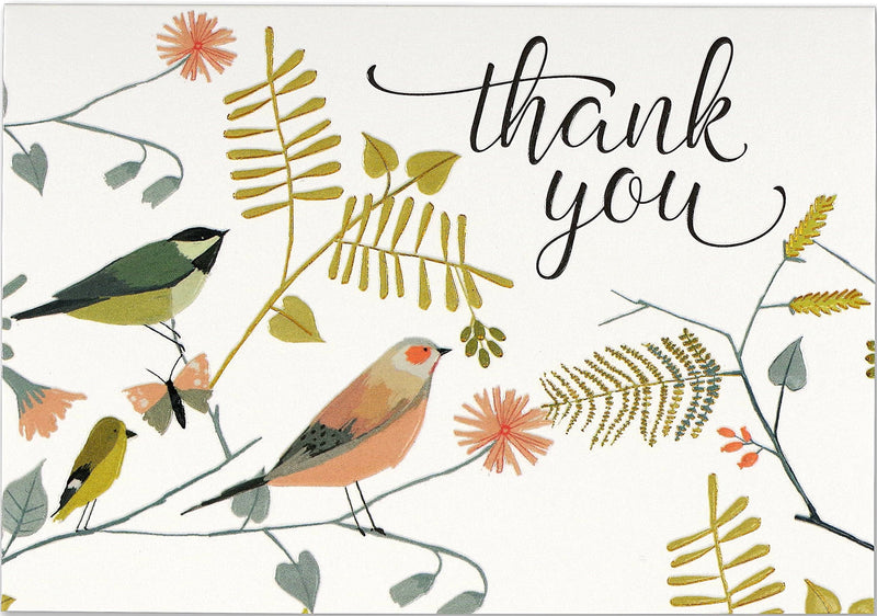 Boxed Thank You Cards: Songbirds - Shelburne Country Store