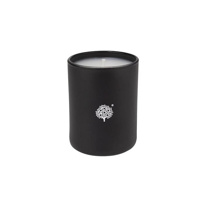 Windsor Forest mini Poured Candle - Shelburne Country Store