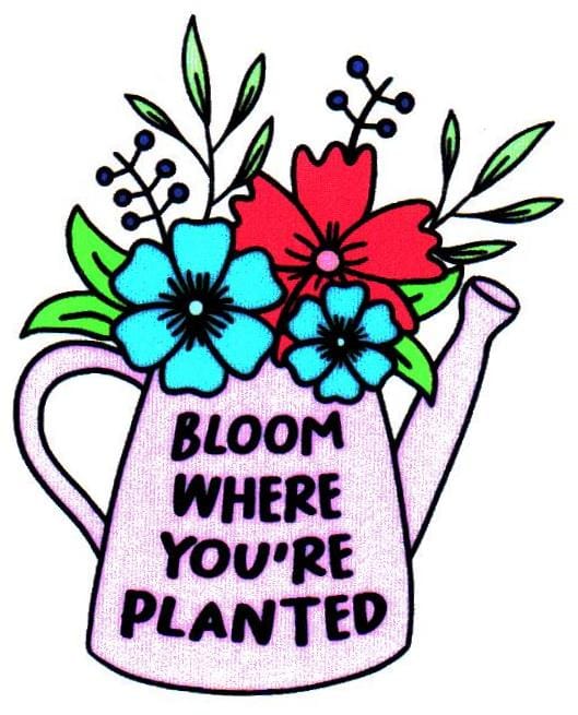 Bloom Where You're Planted Sticker - Shelburne Country Store