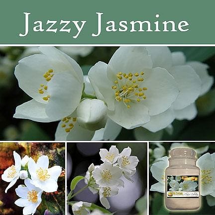 Jazzy Jasmine Golden Harvest Candle Jar - Shelburne Country Store