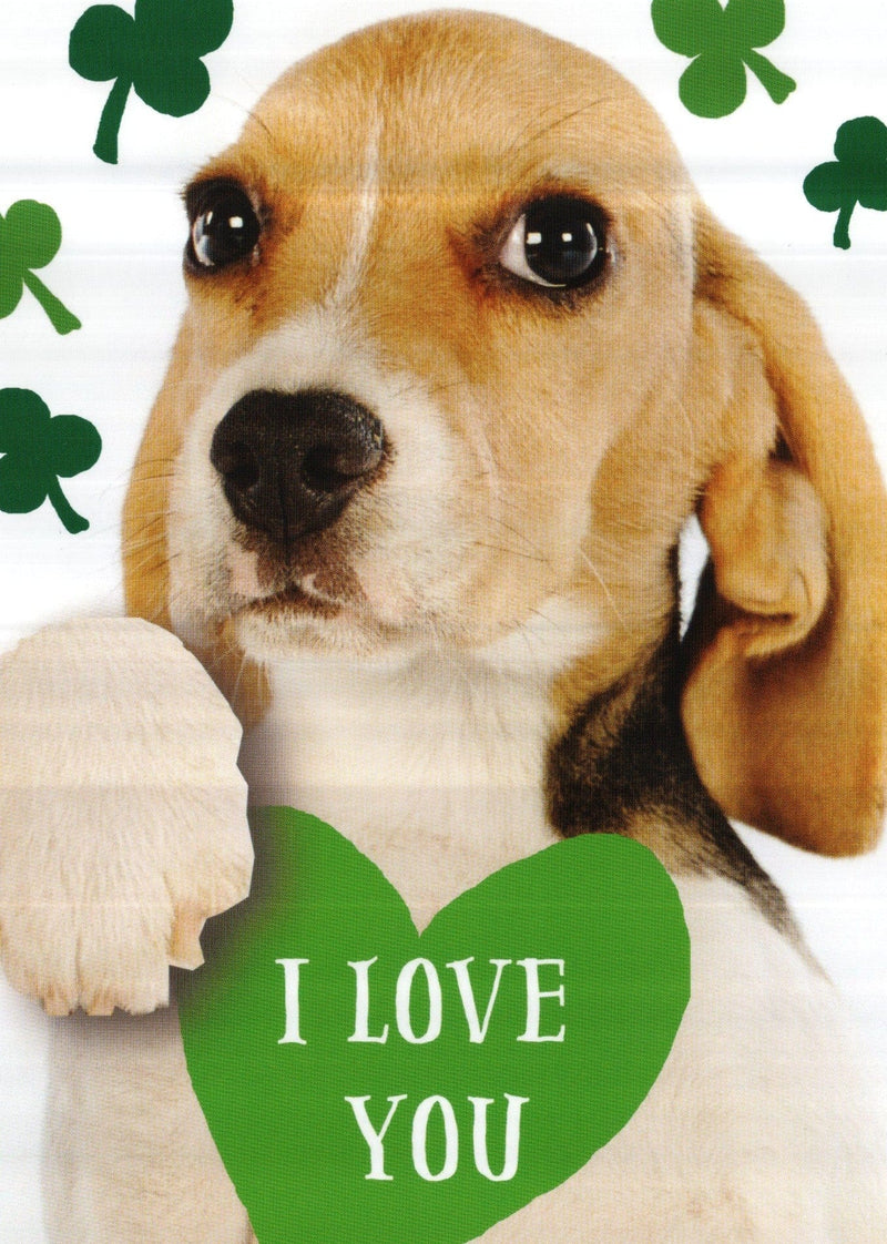 Beagle puppy I Love You St.Patricks Day Greeting Card - Shelburne Country Store