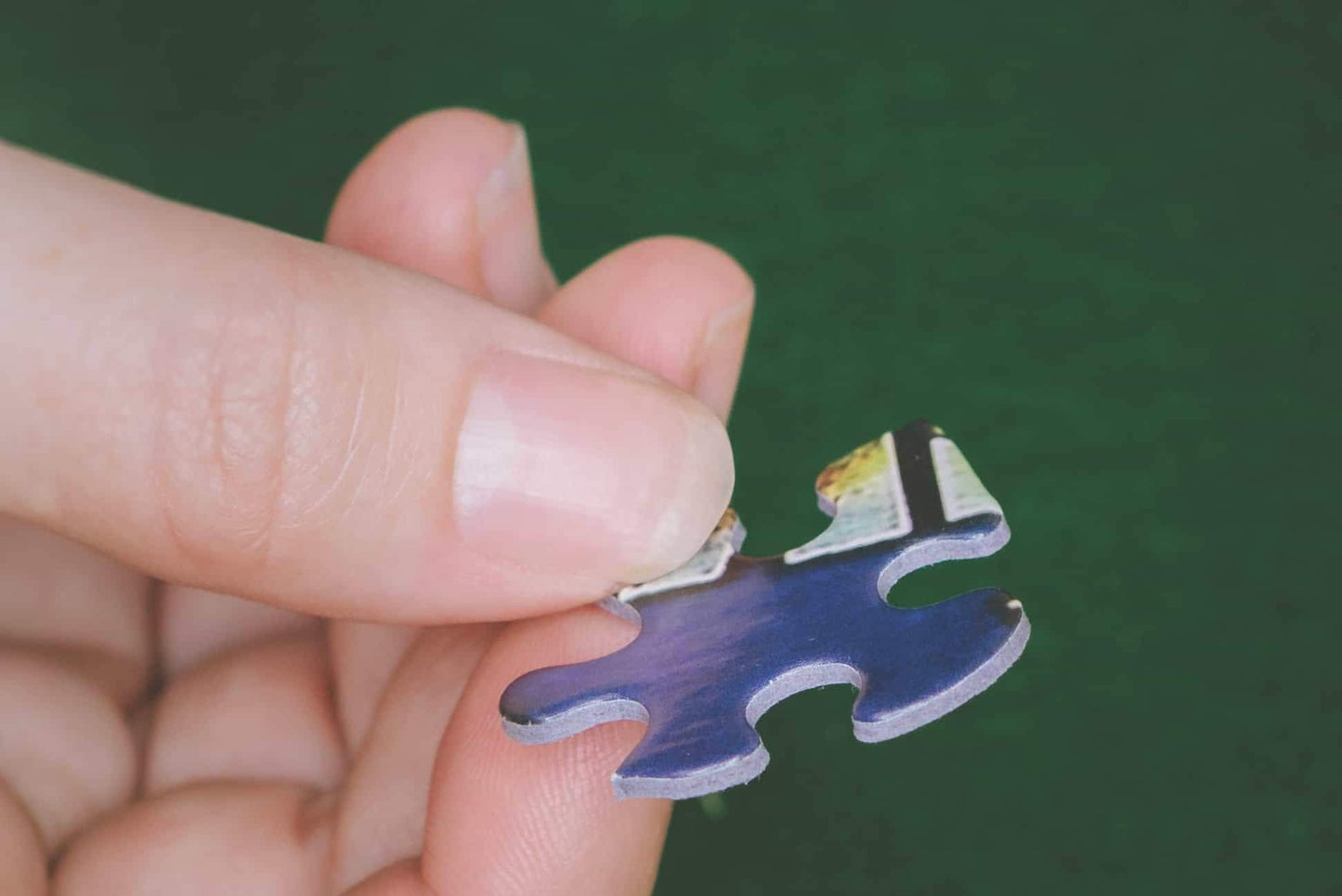 Boston Red Sox 2018 - 550 Piece Jigsaw Puzzle - Shelburne Country Store