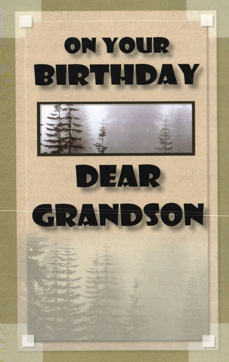 Grandson Birthday card - Shelburne Country Store