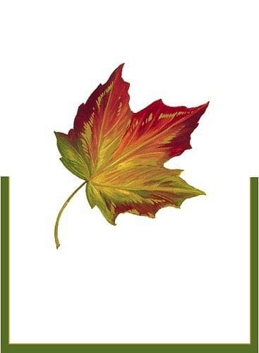Maple Leaf Die-Cut Place Cards - Shelburne Country Store