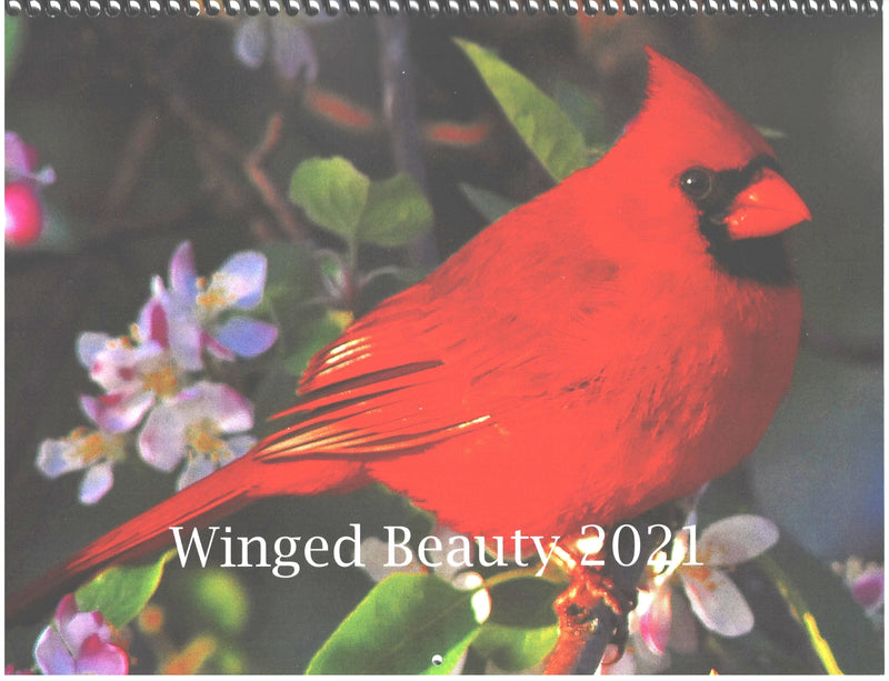 2021 Winged Beauty Wall Calendar - Shelburne Country Store