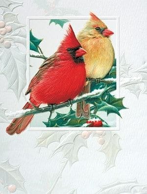Cardinal Christmas Petite Boxed Cards - Shelburne Country Store