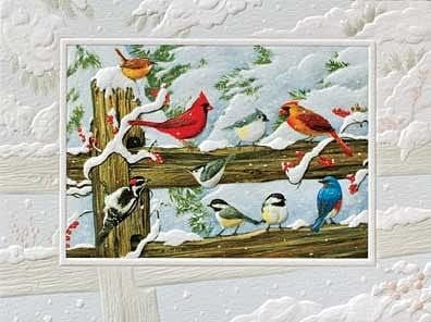 Winter Songbirds Petite Boxed Cards - Shelburne Country Store
