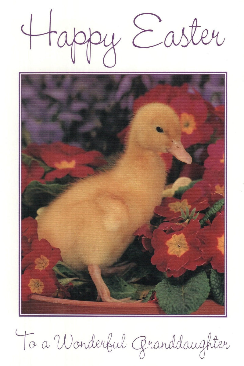 Happy Easter Chick Card - Shelburne Country Store
