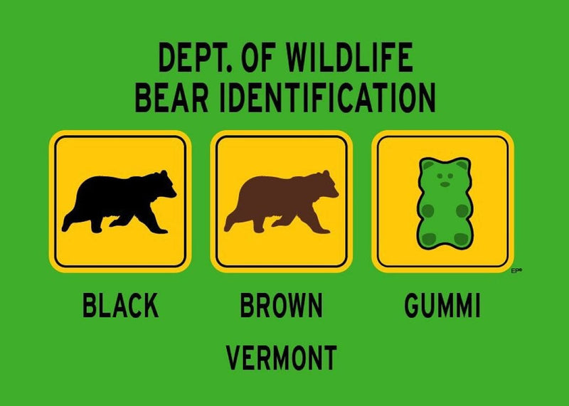 Bear Identification Youth T-Shirt - - Shelburne Country Store