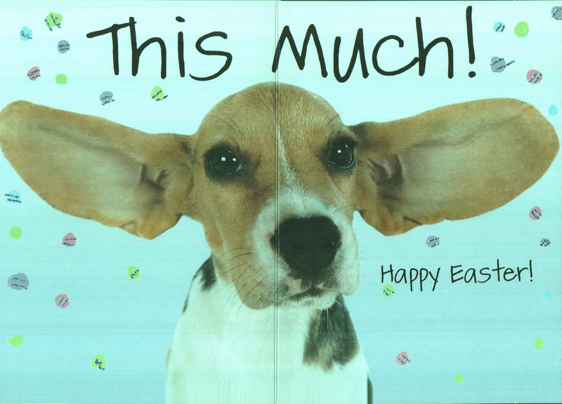 Easter Card - Floppy Ears - Shelburne Country Store