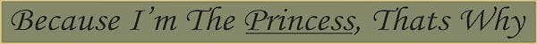 18 Inch Whimsical Wooden Sign - Because Im the Princess - - Shelburne Country Store