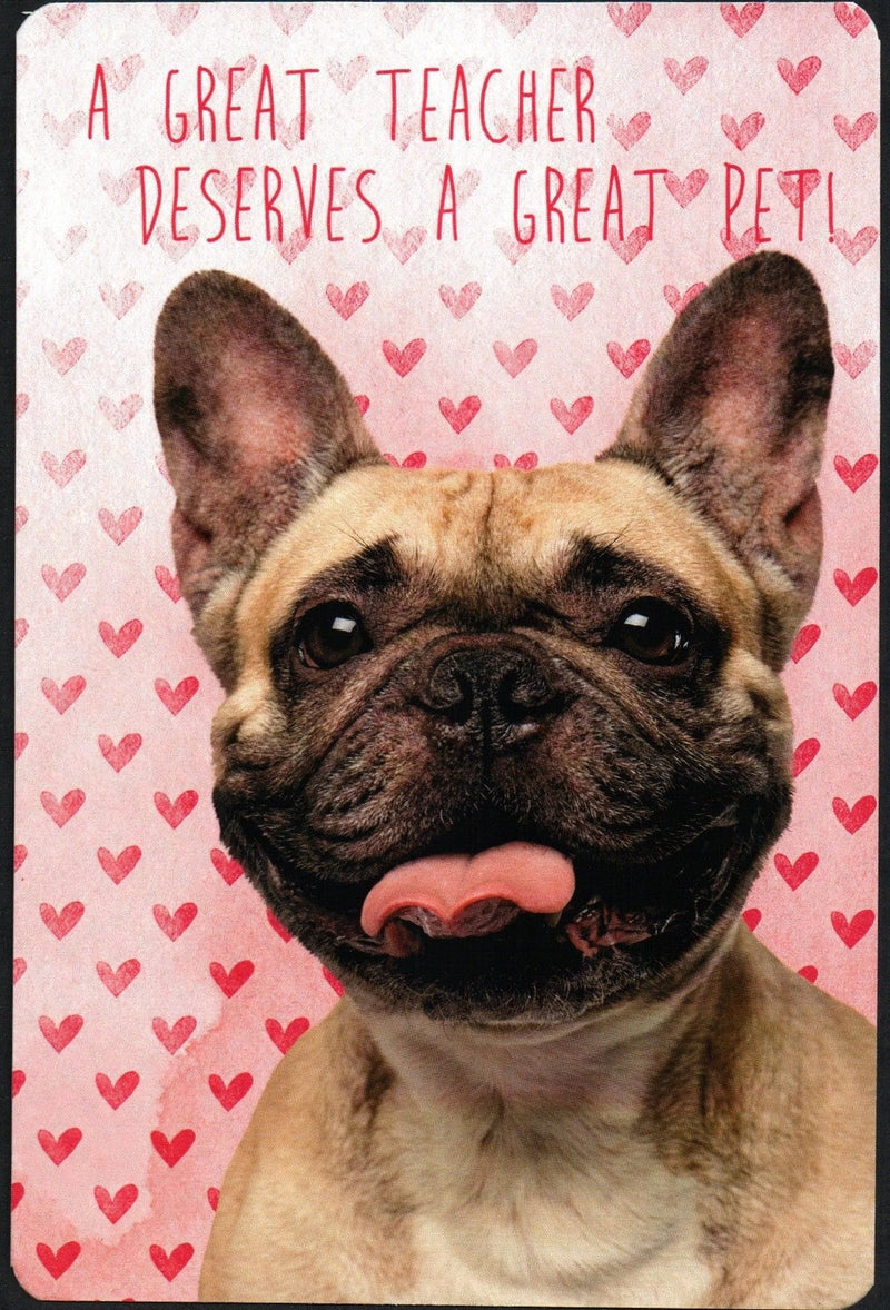 Dog Classroom Valentines - Shelburne Country Store