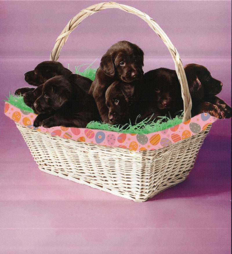 Lab Puppy Easter Basket Greeting Card - Shelburne Country Store