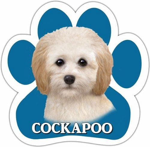Cockapoo Magnet - Shelburne Country Store