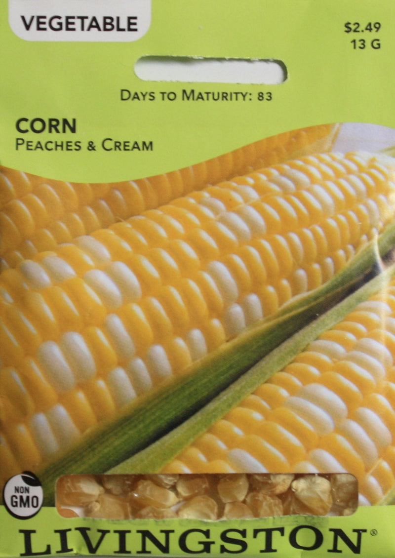 2021 Seed Packet - Corn - Peaches & Cream Mid - Shelburne Country Store