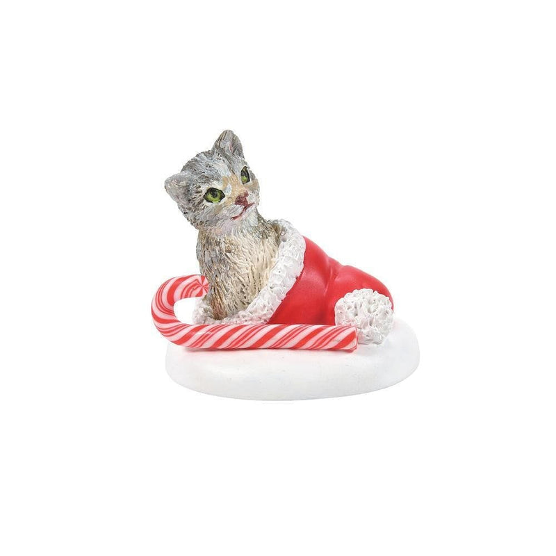 Candy Cane Kitten Surprise - Shelburne Country Store