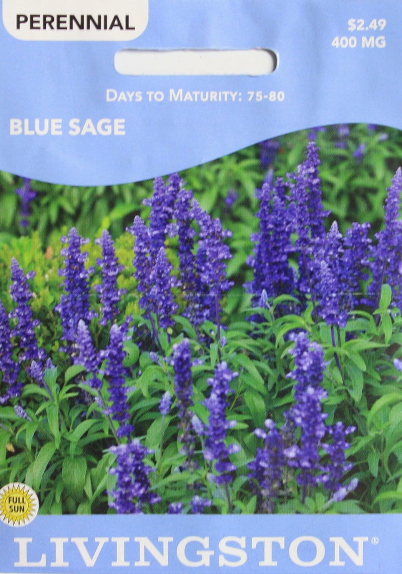 Seed Packet - Sage - Blue - Shelburne Country Store