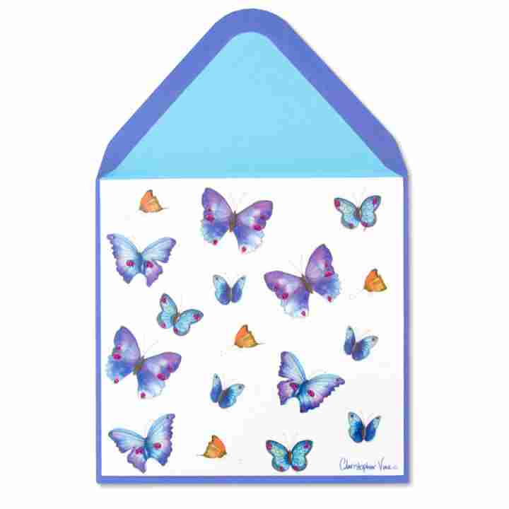 Red Blue Butterflies Blank Card - Shelburne Country Store