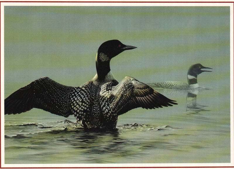 Wildlife- Loon Blank Card - Shelburne Country Store