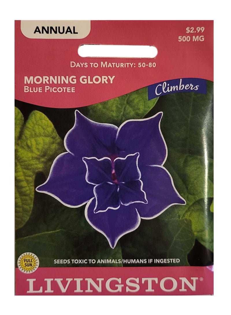 Seed Packet - Morning Glory - Blue Picotee - Shelburne Country Store