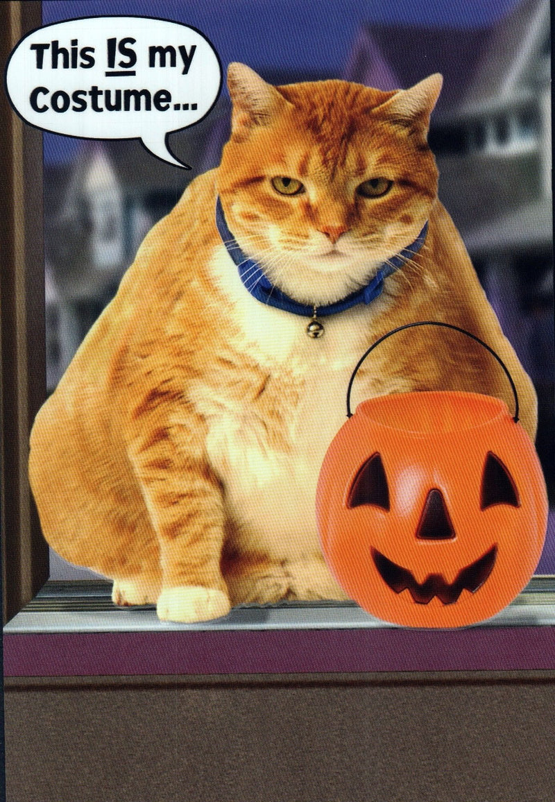 Cat Trick or Treating Halloween Card - Shelburne Country Store