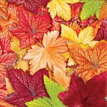 Forest Floor Fall Leaves - - Shelburne Country Store