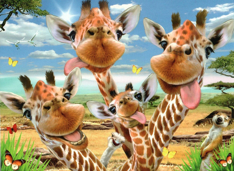 Silly Giraffes Birthday Card - Shelburne Country Store