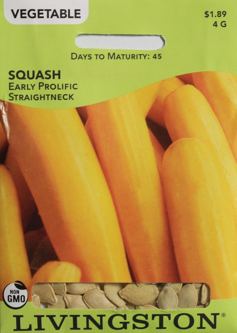Seed Packet - Squash - Early Prolific Straightneck - Shelburne Country Store