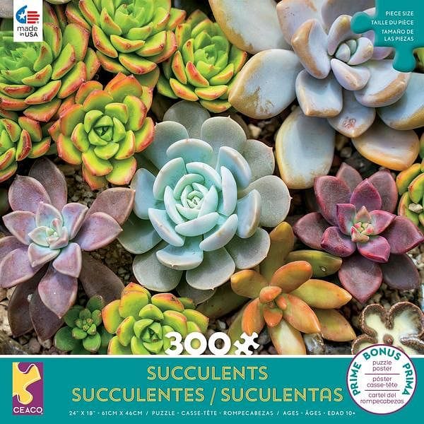 Succulents Puzzle  - - Shelburne Country Store