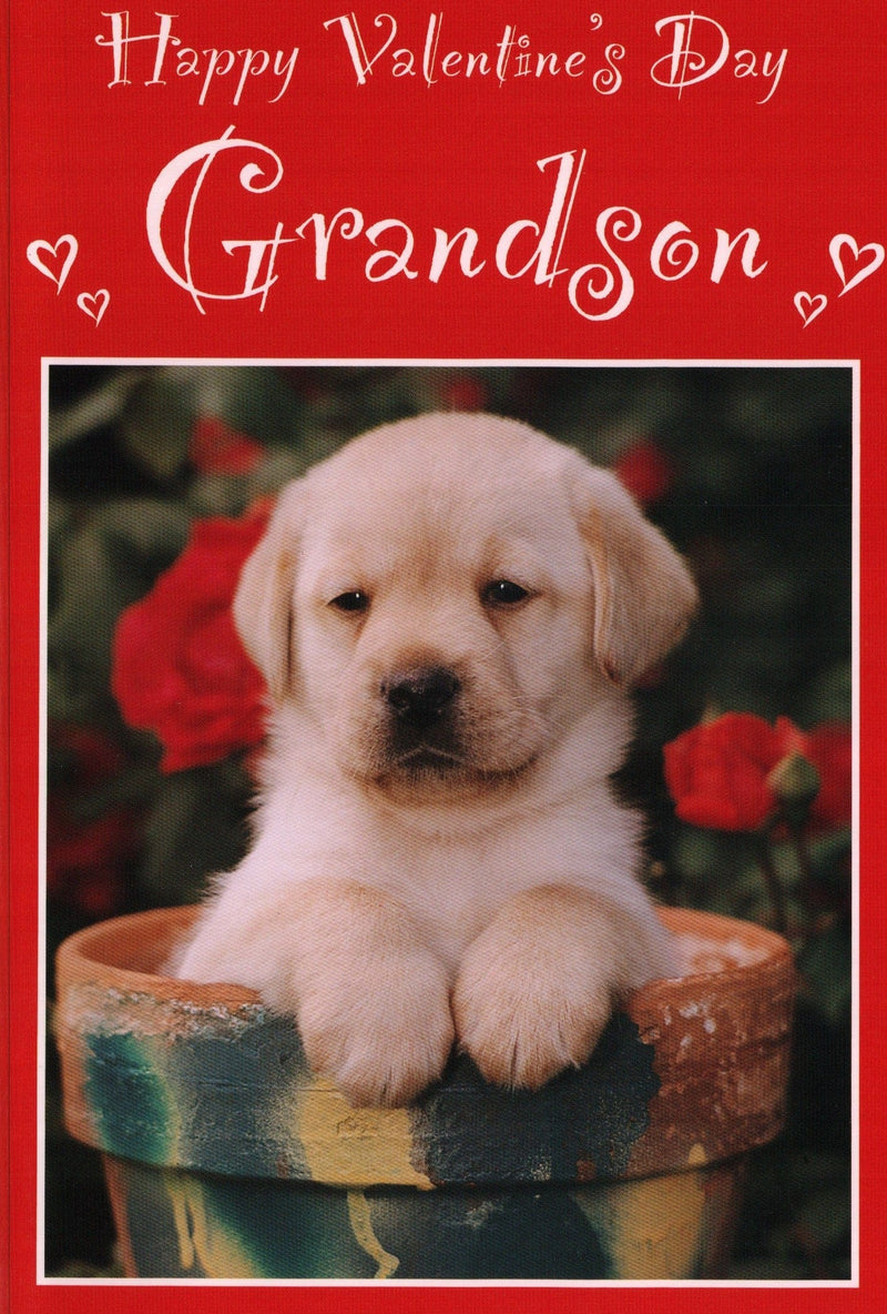 Grandson Valentines Puppy - Shelburne Country Store