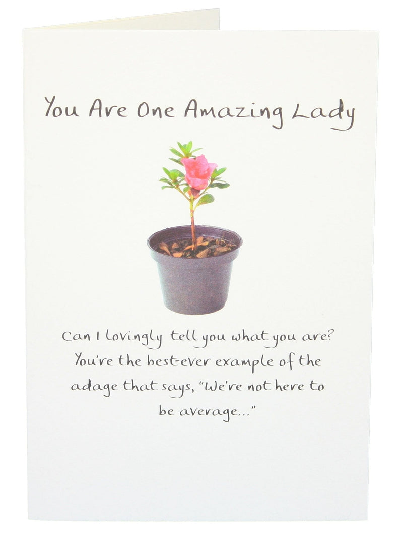 You are One Amazing Lady - Shelburne Country Store