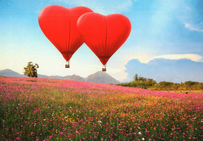 Heart Shaped Hot Air Balloon Valentine's Day Card - Shelburne Country Store